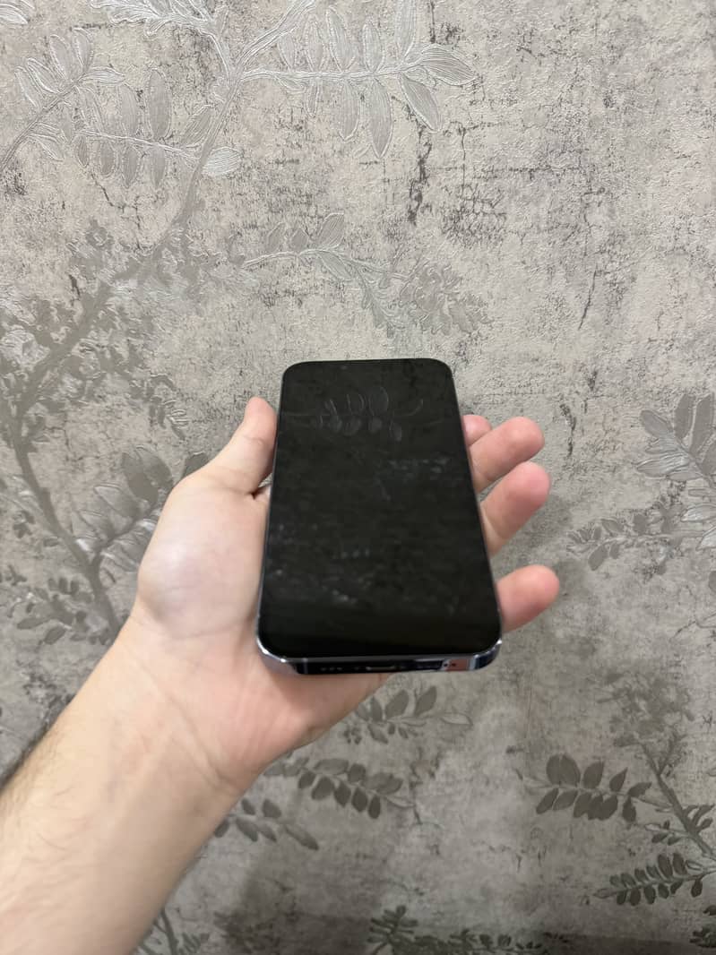 Apple iPhone 13 Pro 2