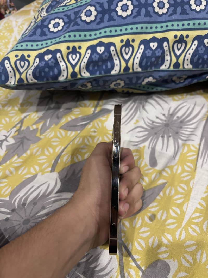 Apple iPhone 12 Pro 4