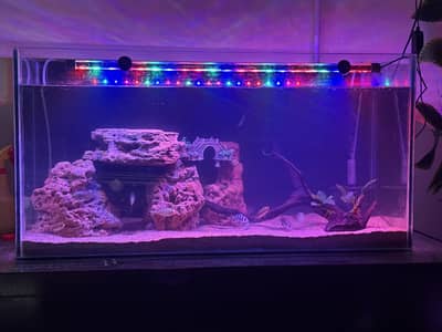 SEA FISH AQUARIUM 3ft
