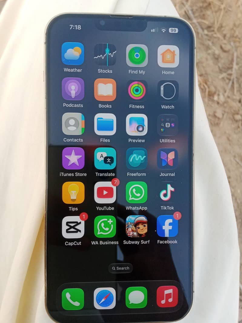 Apple iPhone 13 Pro Max 1