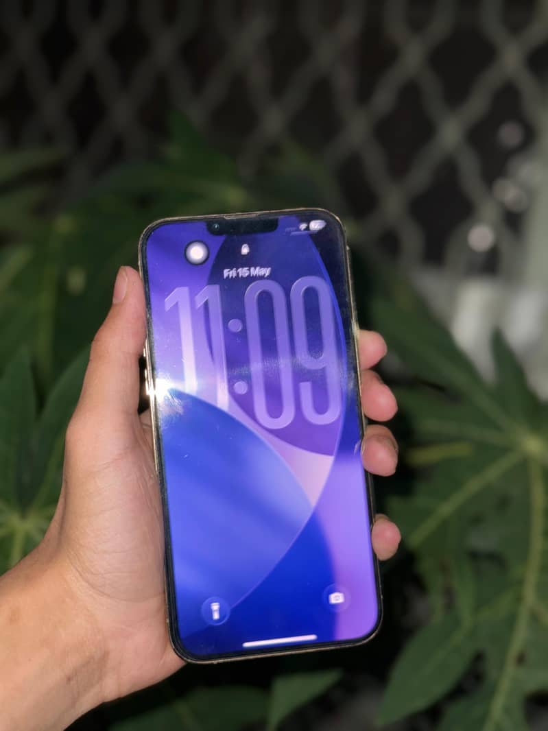 Apple iPhone 13 Pro Max 1