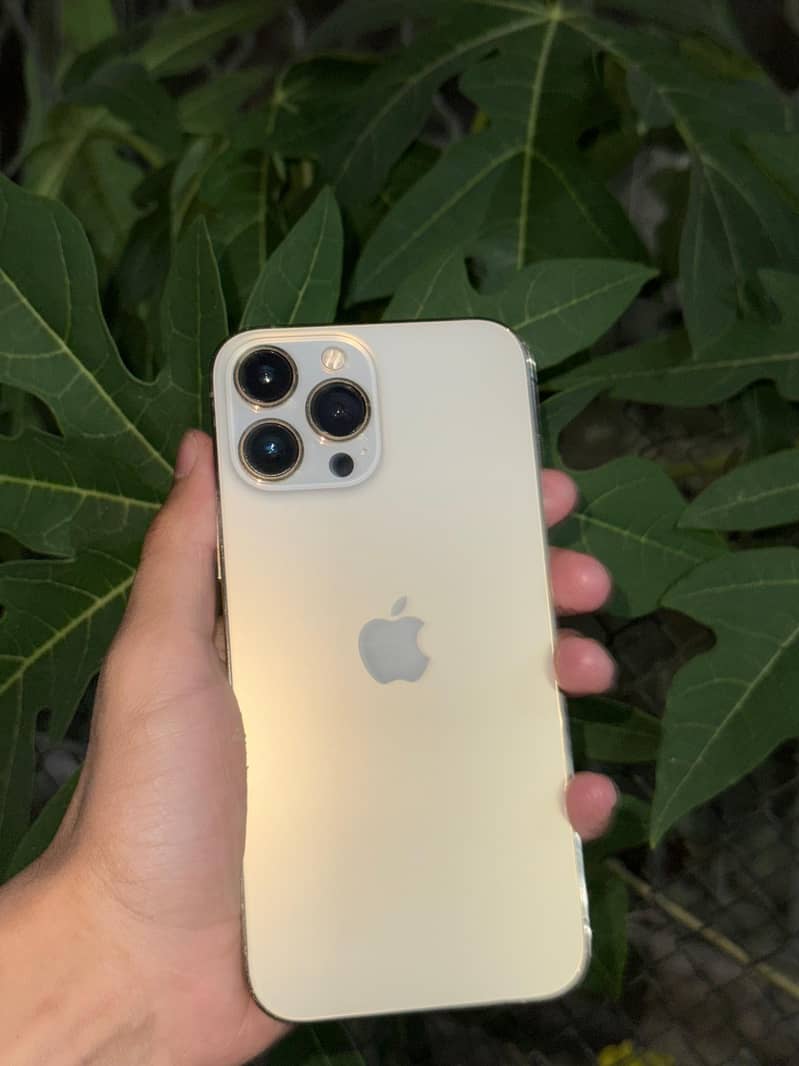 Apple iPhone 13 Pro Max 2