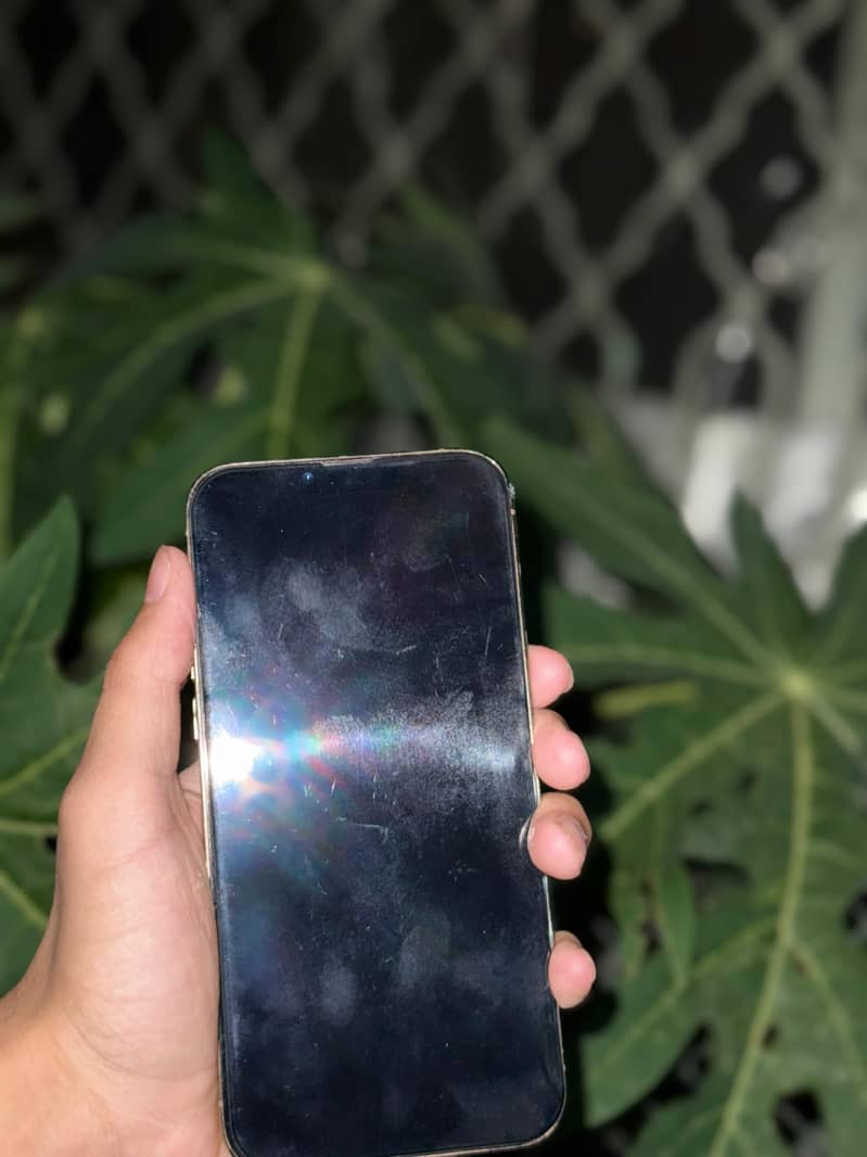 Apple iPhone 13 Pro Max 3