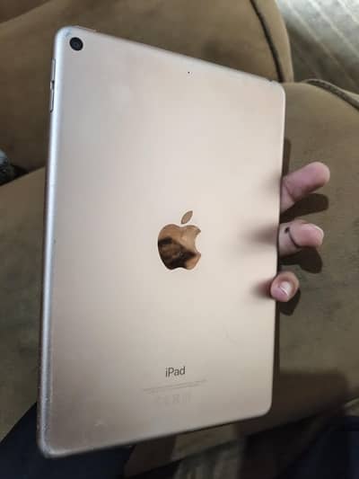 iPad Mini 5th Generation 64GB