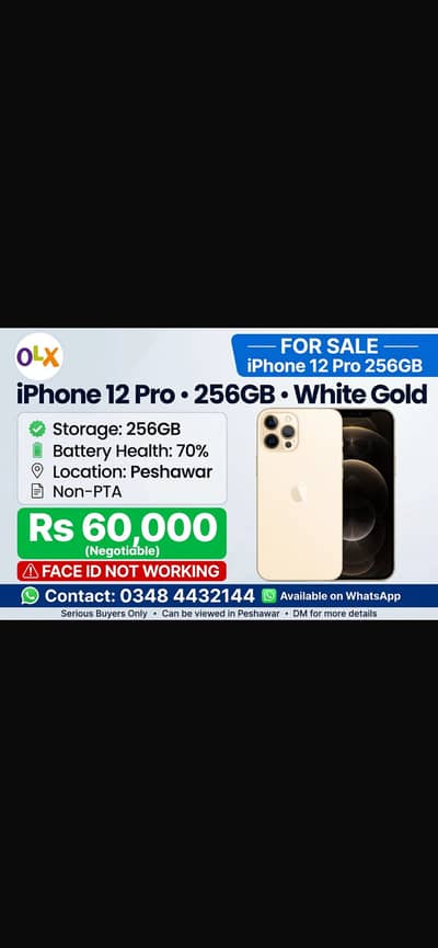 Apple iPhone 12 Pro