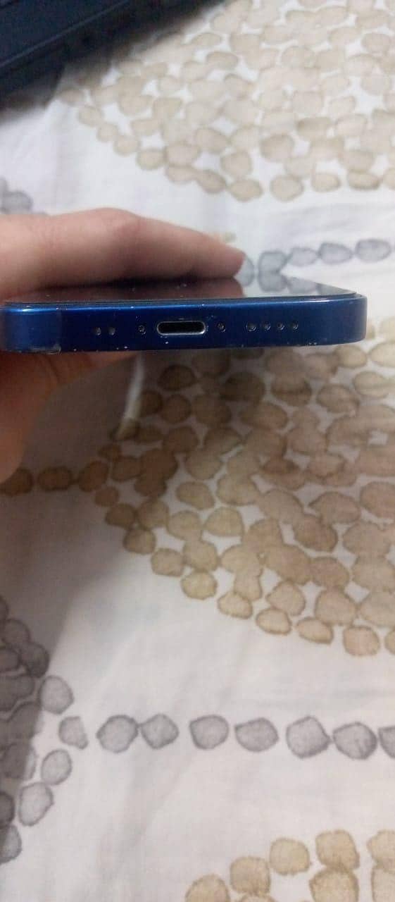 Apple iPhone 12 1