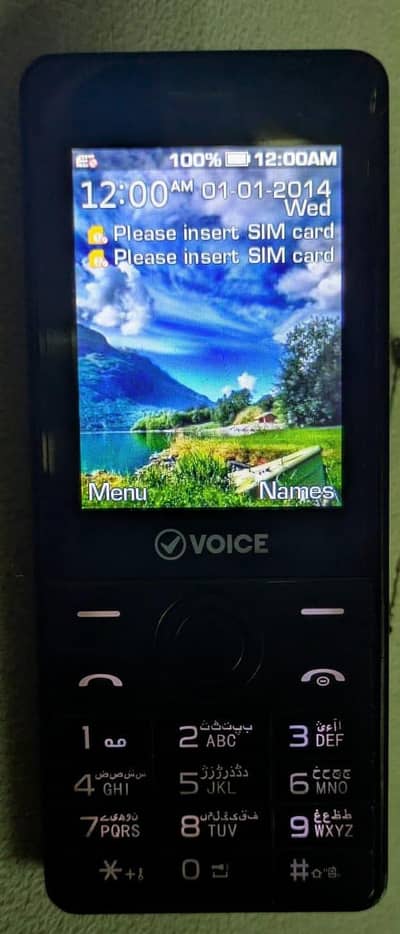 VOICE V175 Keypad Mobile