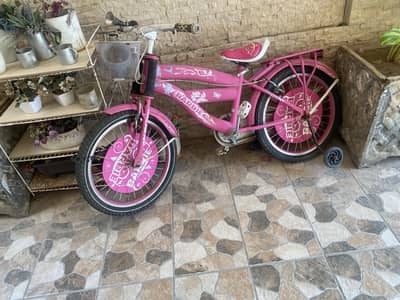 Bicycle for girls