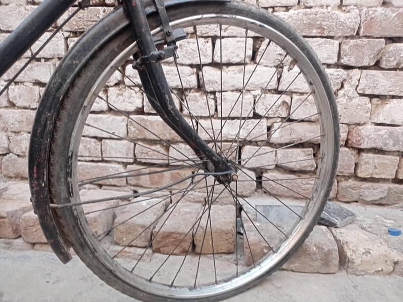 baba cycle available 3