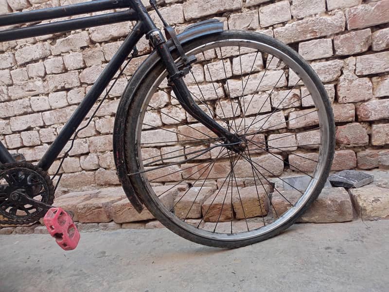 baba cycle available 4