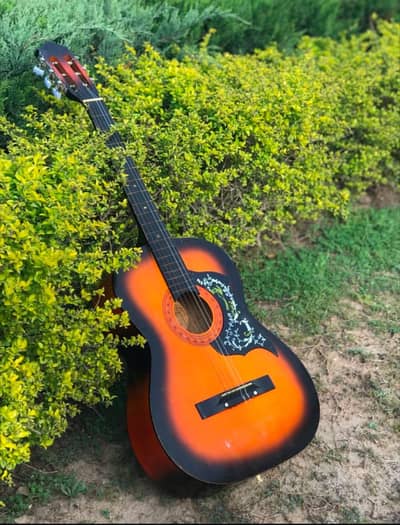 Classical Acoustic Guitar for Sale – Excellent Condition