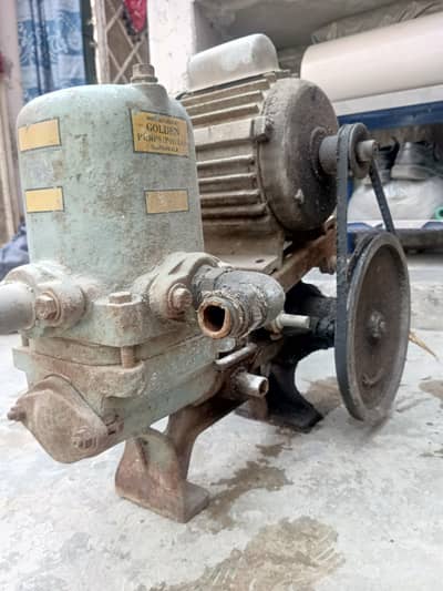 Golden Donky pump for sale