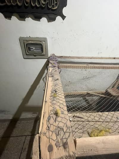 home-made birds cage