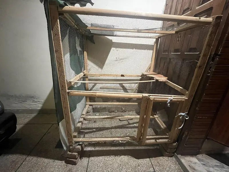 home-made birds cage — photo 2