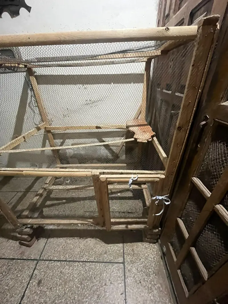 home-made birds cage — photo 3