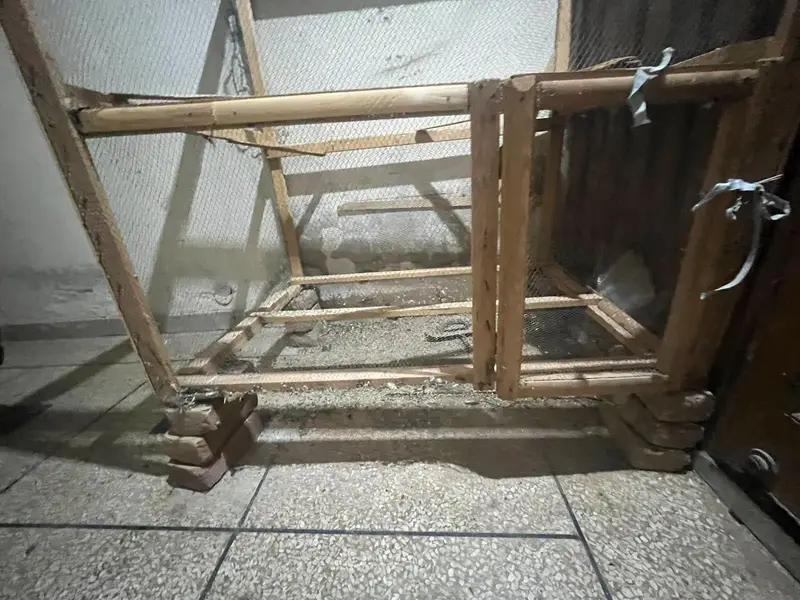 home-made birds cage — photo 5