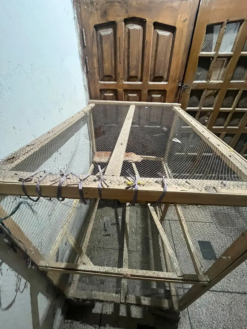 home-made birds cage — photo 7