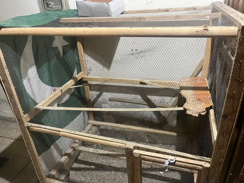 home-made birds cage — photo 8