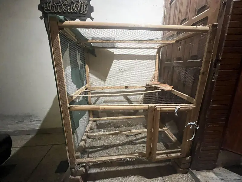 home-made birds cage — photo 9