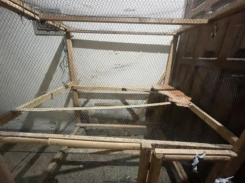 home-made birds cage — photo 10
