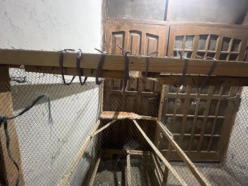home-made birds cage — photo 11