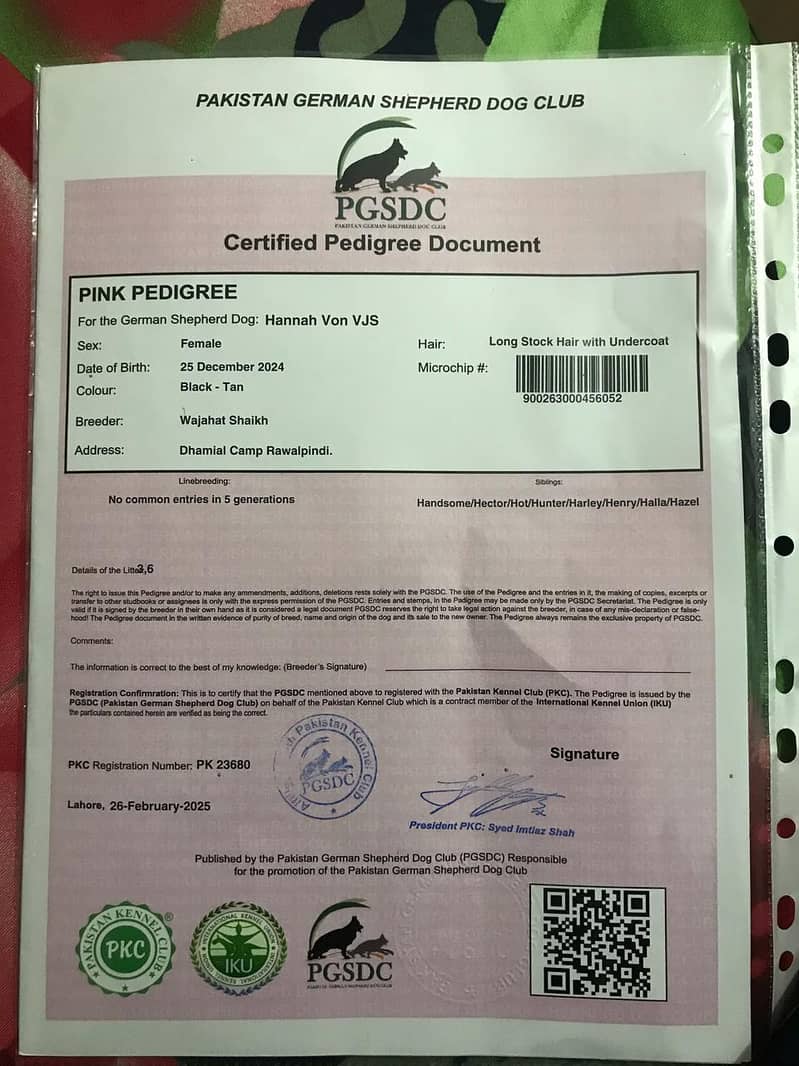 vaccination hui ha pedigree paper b ha 6