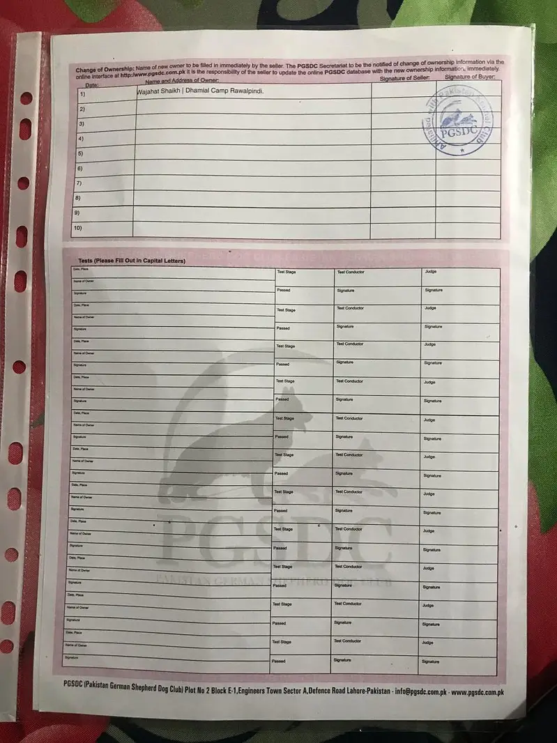 vaccination hui ha pedigree paper b ha — photo 8