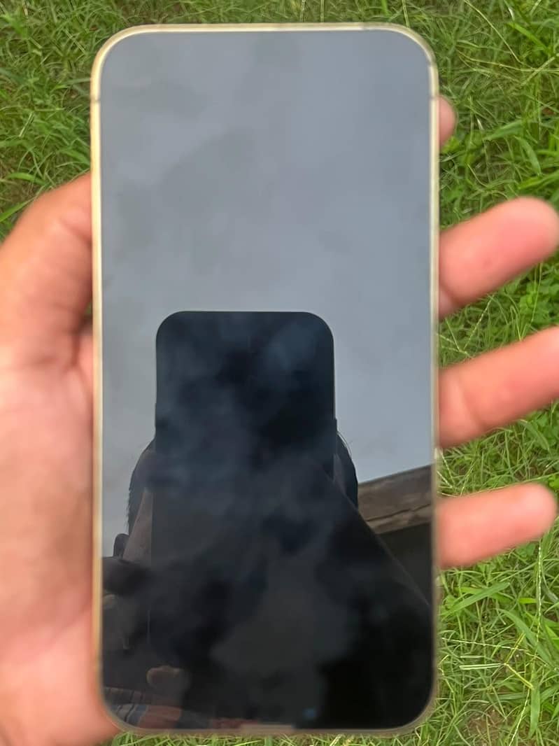Apple iPhone 13 Pro Max 2