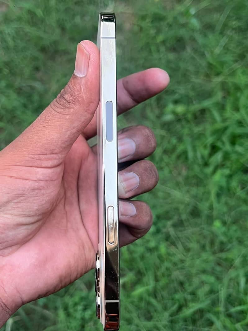 Apple iPhone 13 Pro Max 6