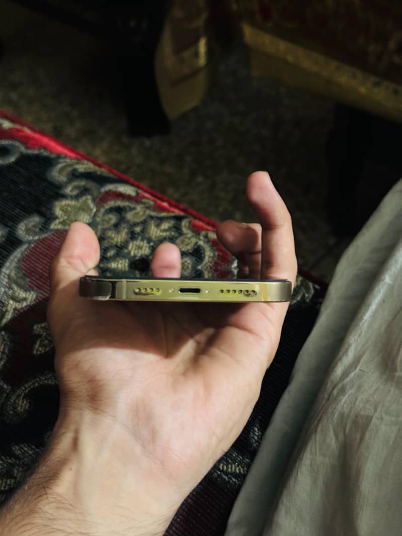 Apple iPhone 13 Pro Max 3