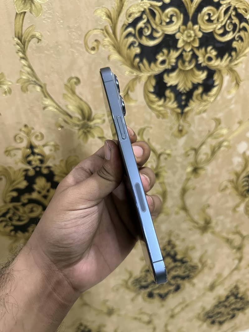 Apple iPhone 13 Pro Max 2