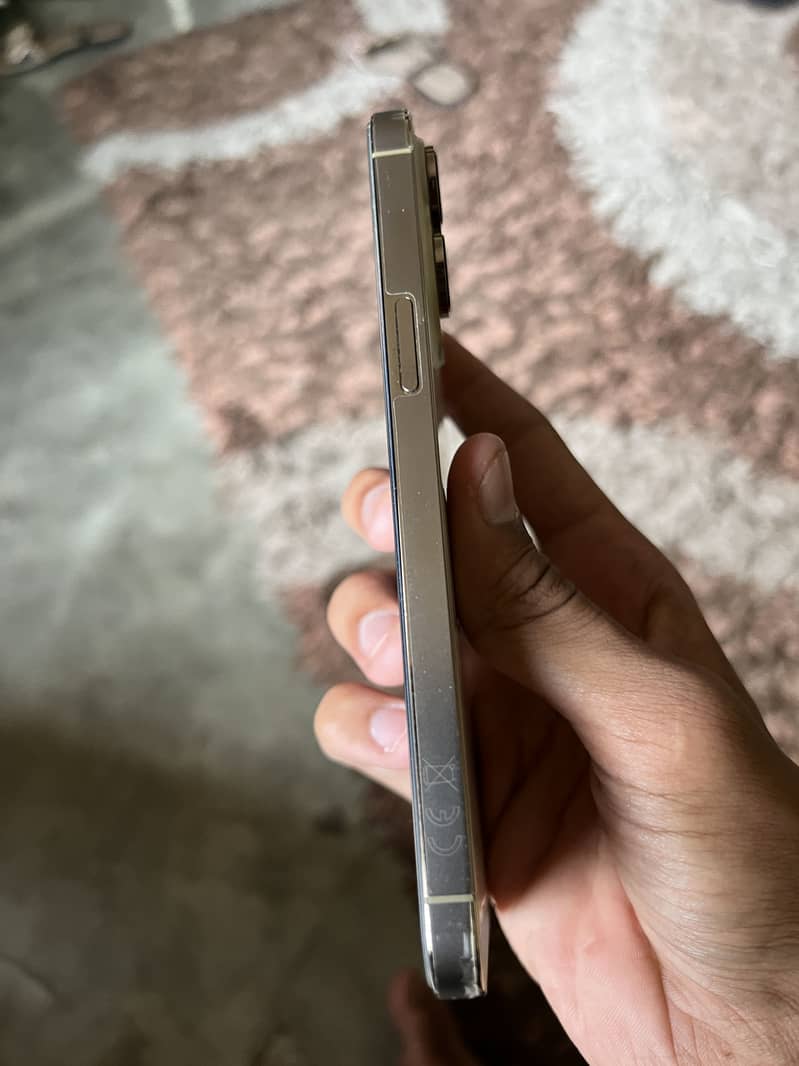 Apple iPhone 14 Pro Max 3