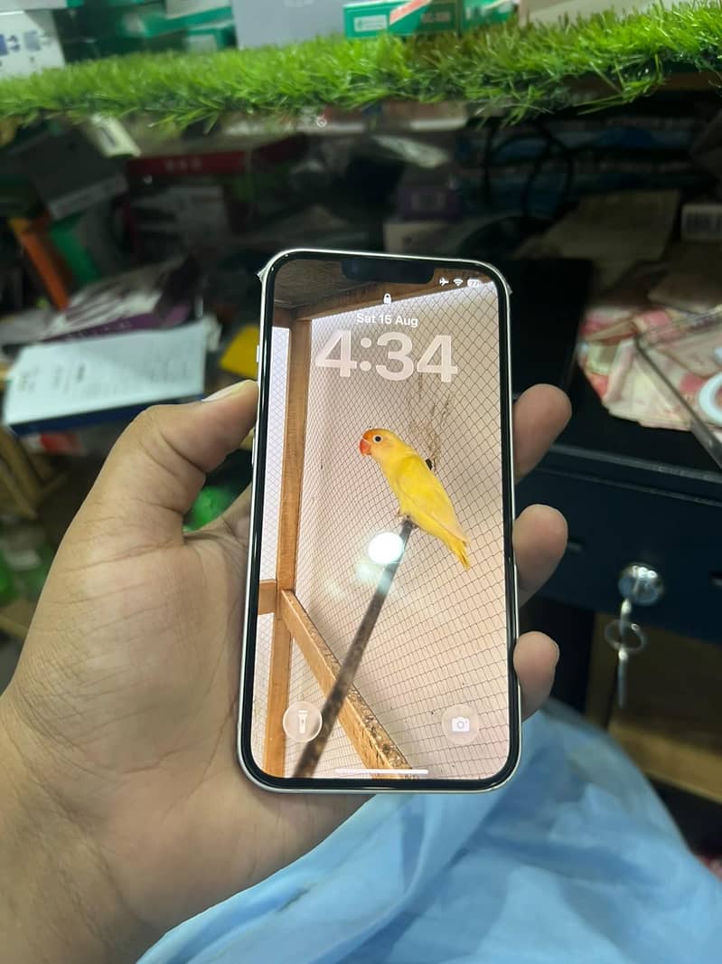 Apple iPhone 13 1