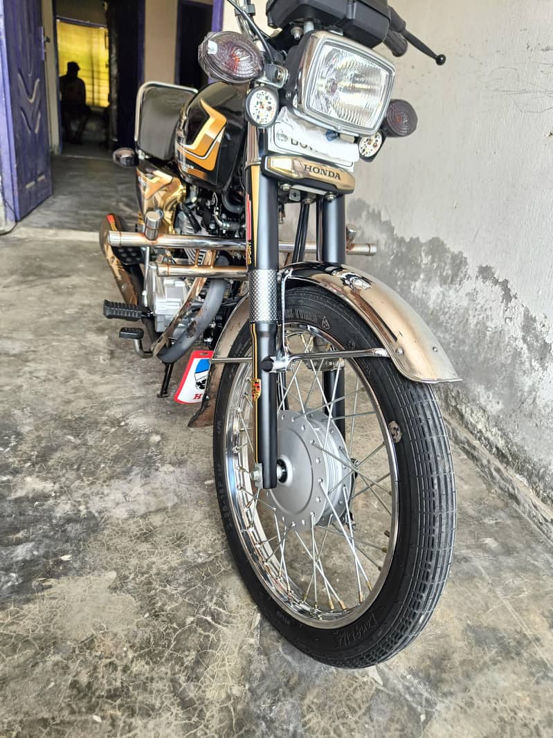 M Luqman 8
