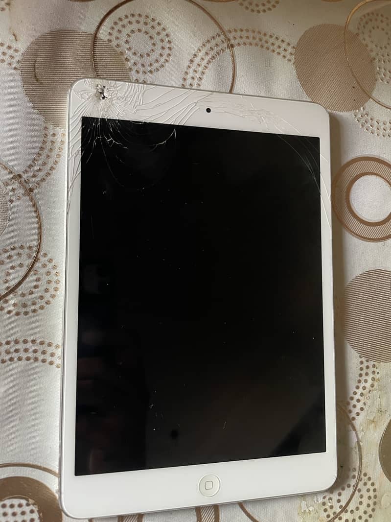 ipad Mini 2 3