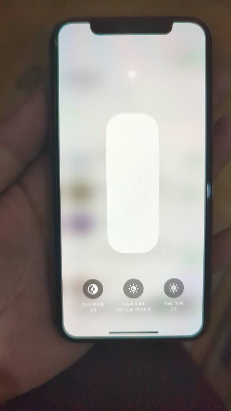 Apple iPhone XS 1