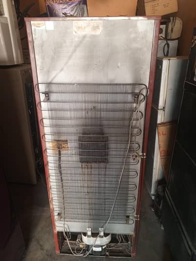 pel fridge for sale