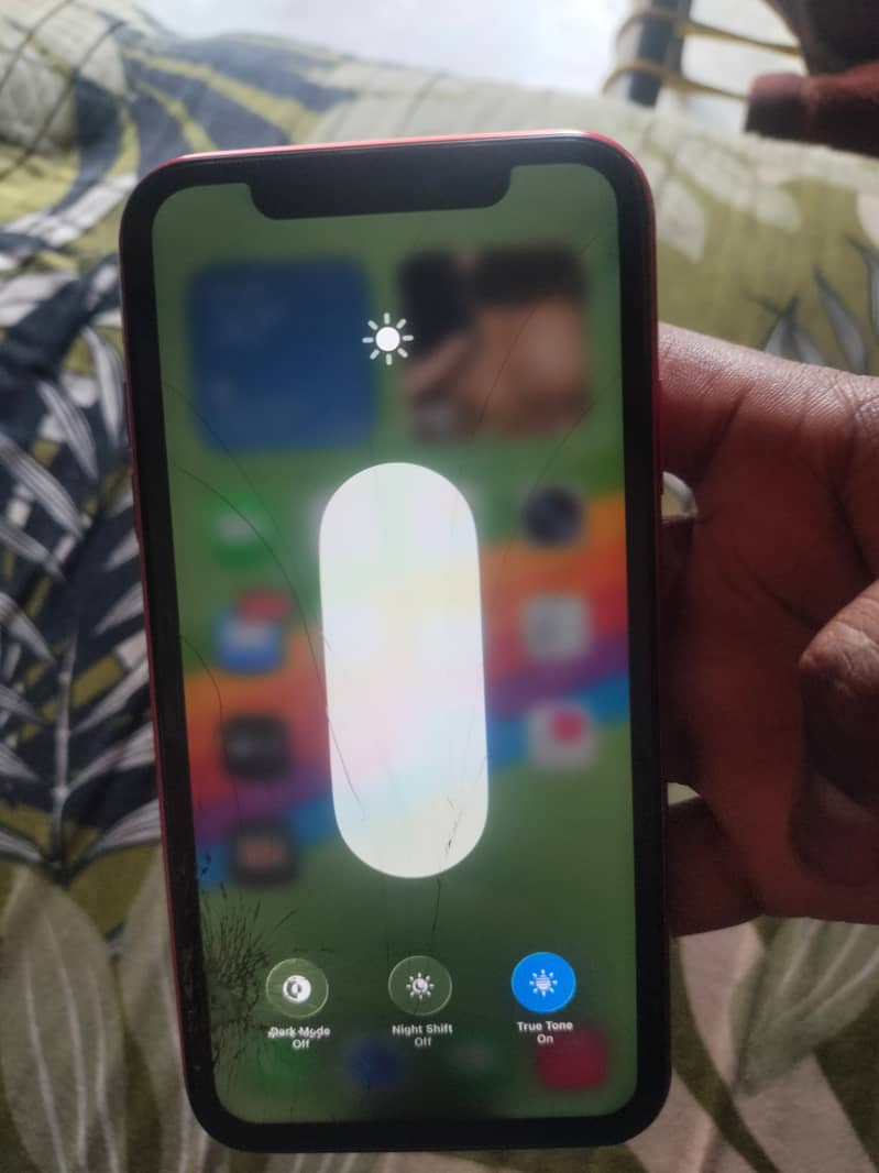 Apple iPhone 11 ( jv) 3