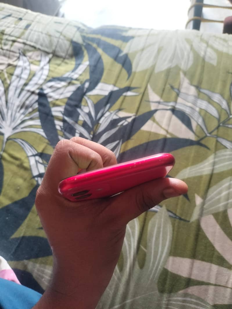 Apple iPhone 11 ( jv) 5