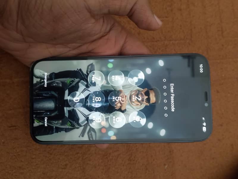 Apple iPhone 12 Pro Max 1