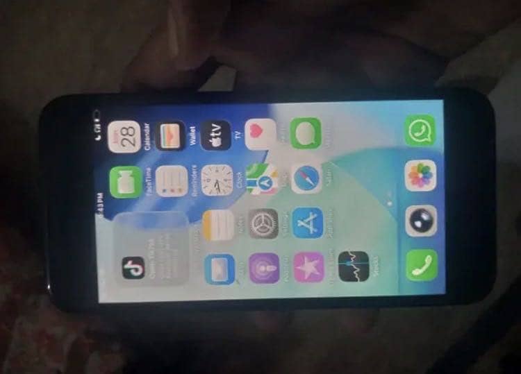 Apple iPhone SE 0