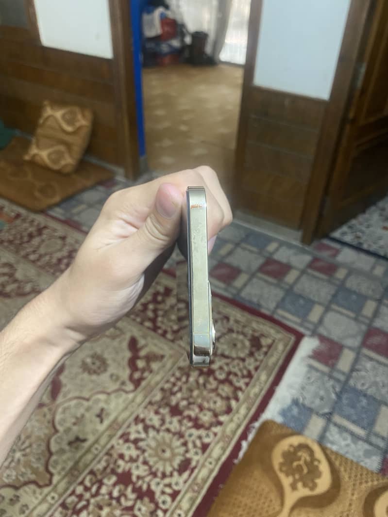 Apple iPhone 12 Pro Max 1