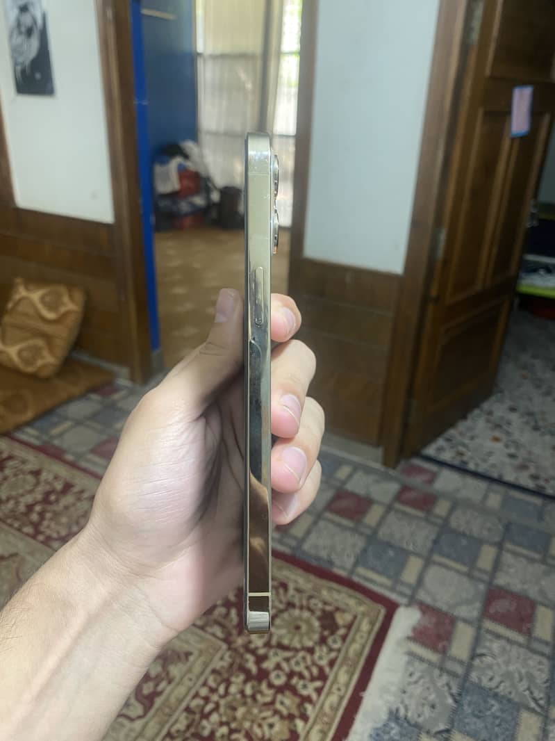 Apple iPhone 12 Pro Max 2