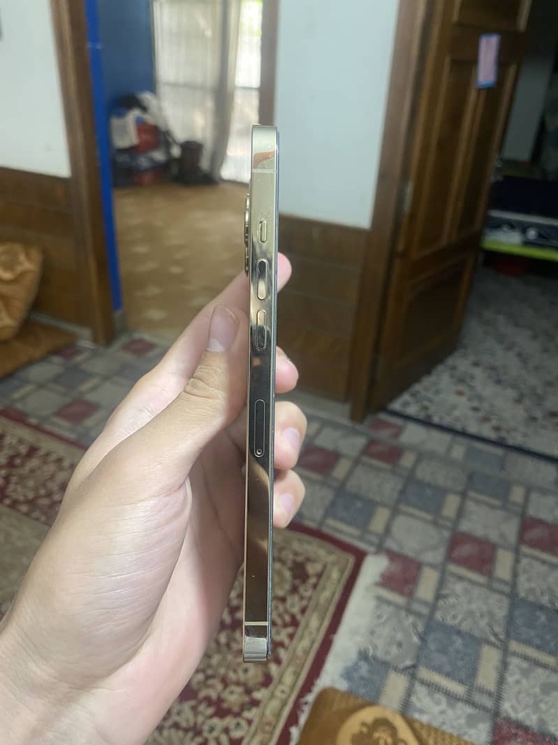 Apple iPhone 12 Pro Max 6