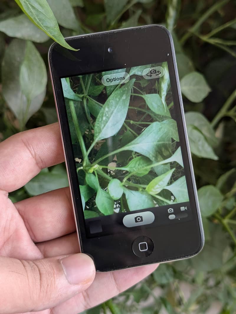 iPod Touch 4 5