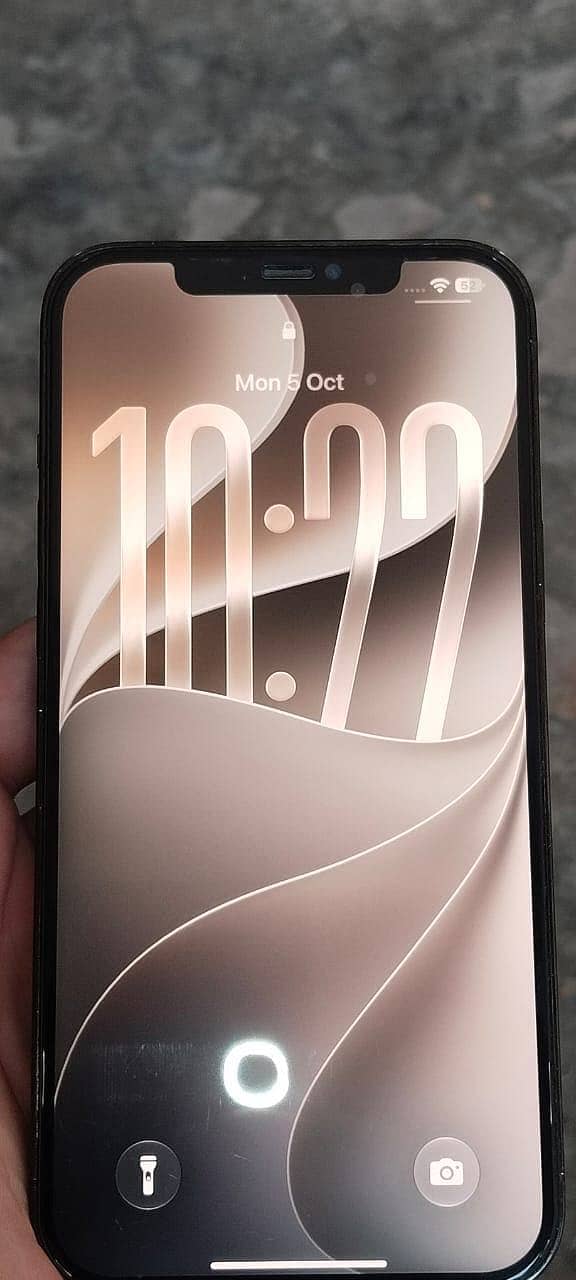 Apple iPhone 12 Pro Max 11