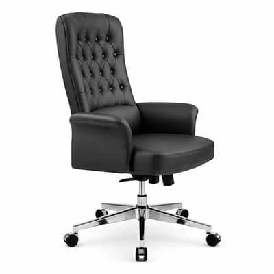 Here are some modern and professional titles for Office Chair: Execut