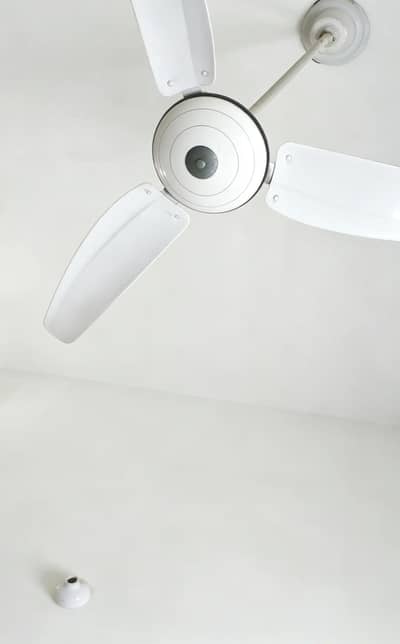 Inayat Fan