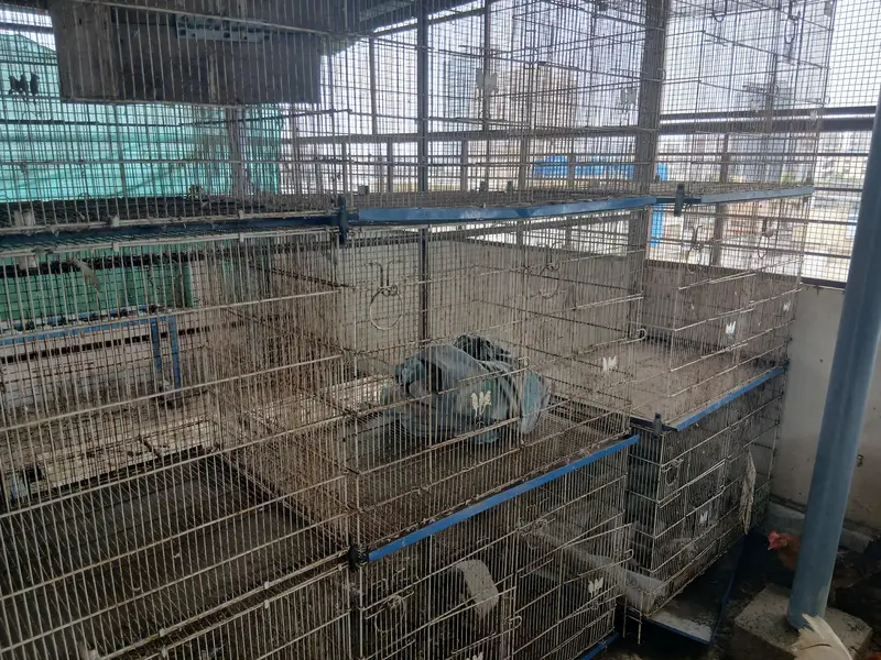2  6 porsion cage for sale — photo 2