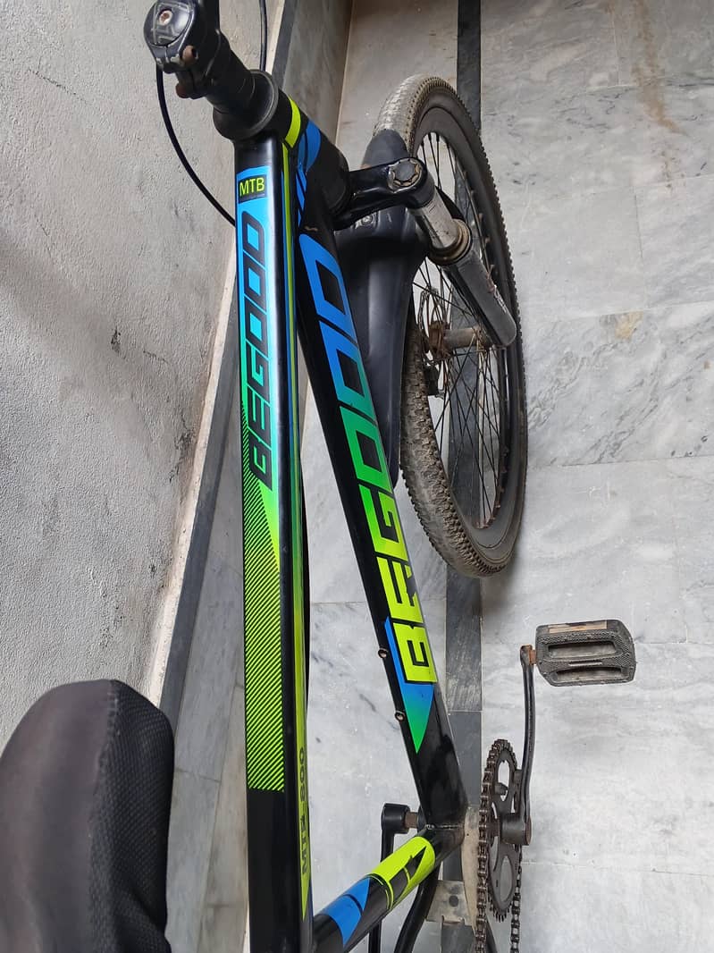 important bicycle 1